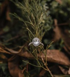 Monisa J Photography