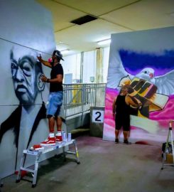 PAINTS Institute