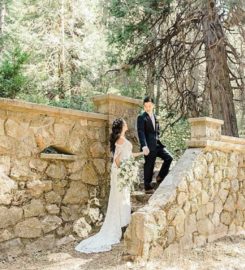Vanessa Hicks Photography