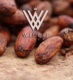 Willie Coca Chocolates