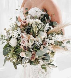 Brittany Emanuel Photography