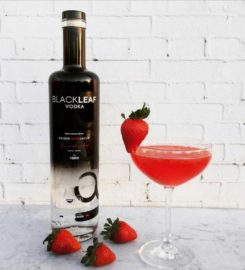 Blackleaf Organic Vodka