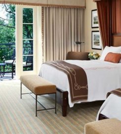 Salamander Resort