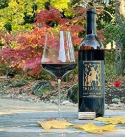 Theopolis Vineyards